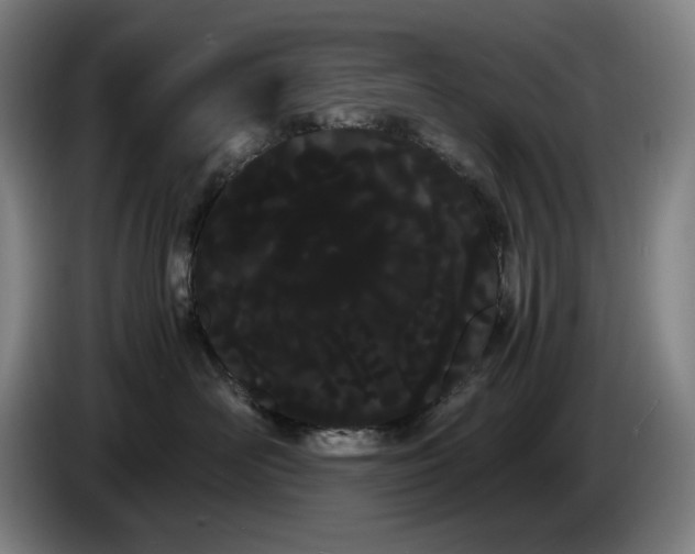 X0000086340526200704202103