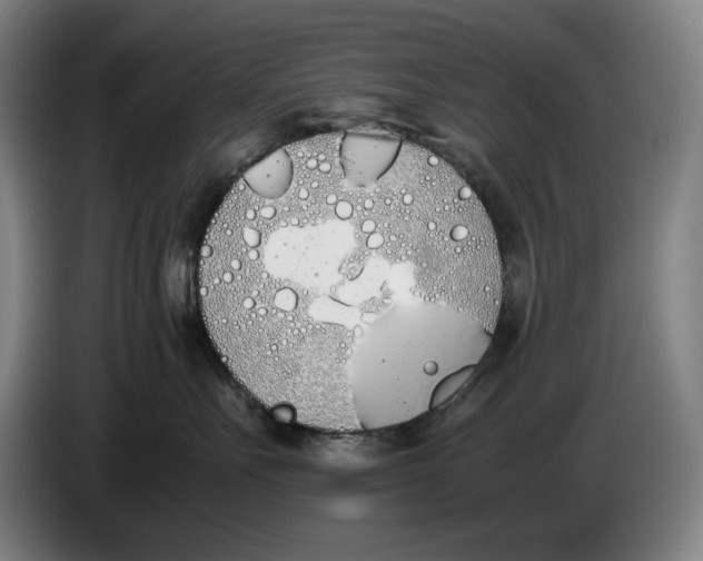 X0000086340527200704202103