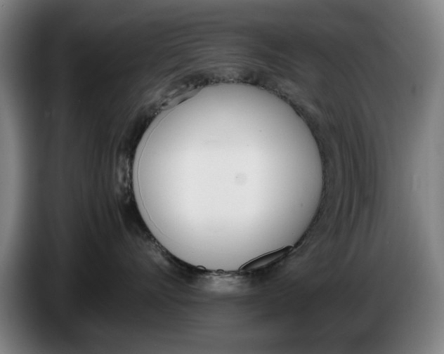 X0000086340528200704202103