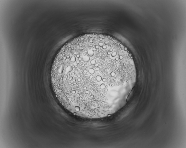 X0000086340529200704202103
