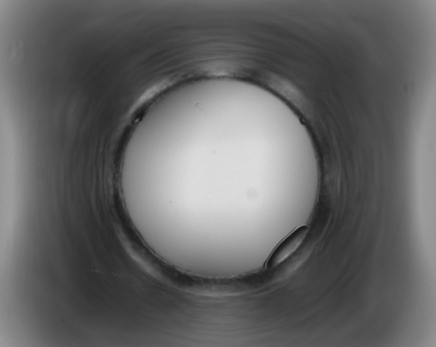 X0000086340530200704202103