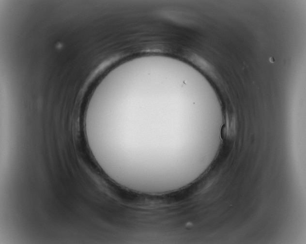 X0000086340531200704202103