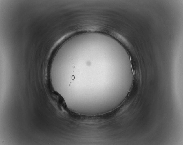 X0000086340532200704202103