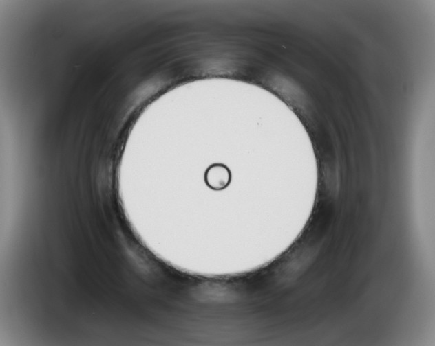 X0000086340534200704202103