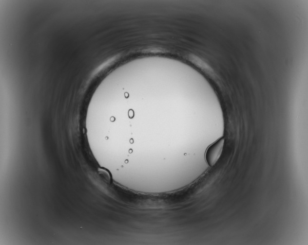 X0000086340535200704202103