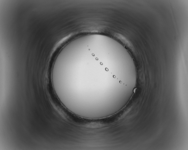X0000086340536200704202103