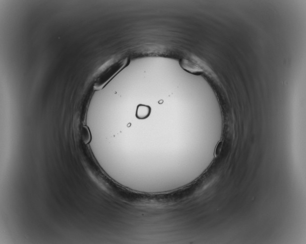 X0000086340538200704202103