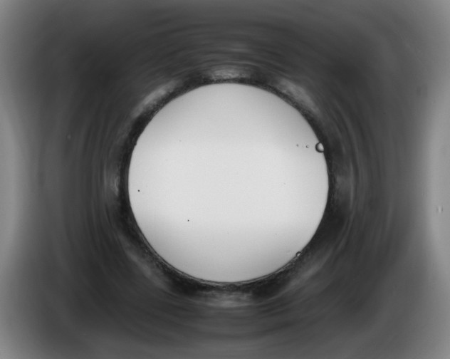 X0000086340539200704202103