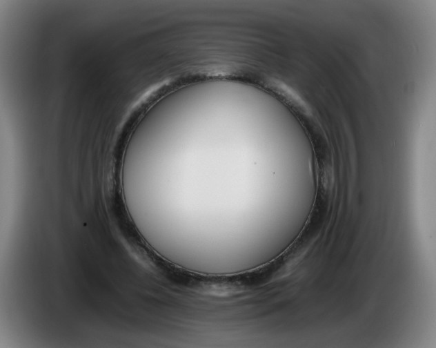 X0000086340540200704202103