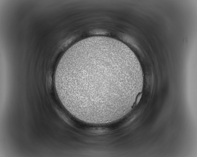 X0000086340541200704202103