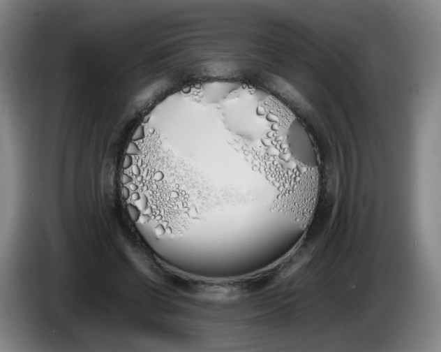 X0000086340542200704202103