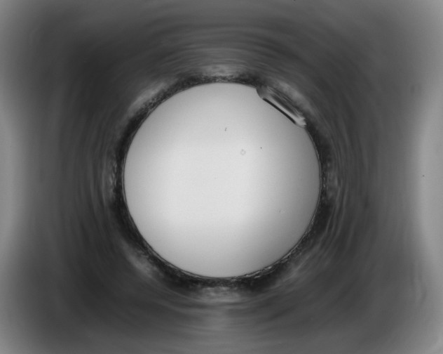 X0000086340544200704202103