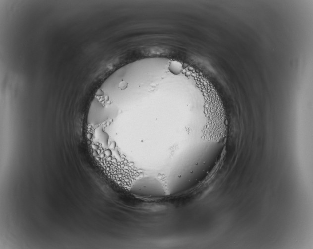 X0000086340545200704202103