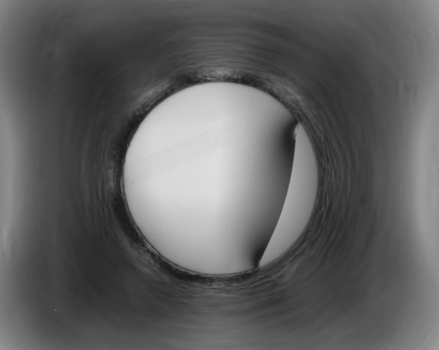 X0000086340546200704202103