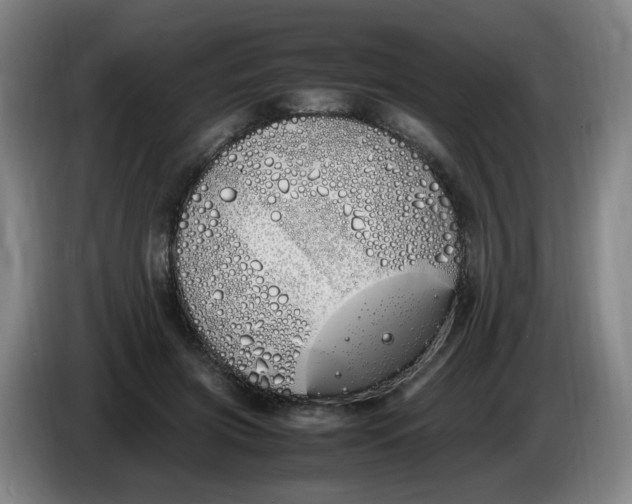 X0000086340549200704202103