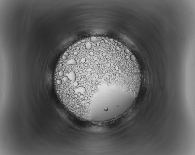 X0000086340550200704202103
