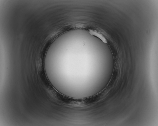 X0000086340552200704202103