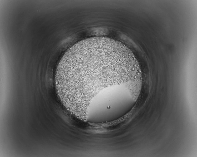 X0000086340553200704202103