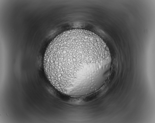 X0000086340554200704202103