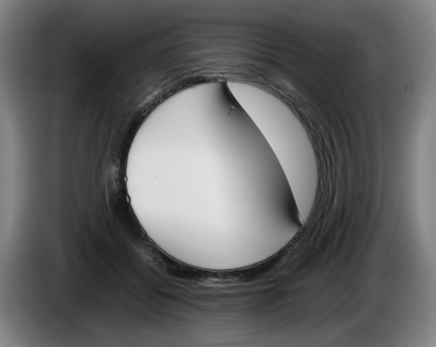 X0000086340556200704202103