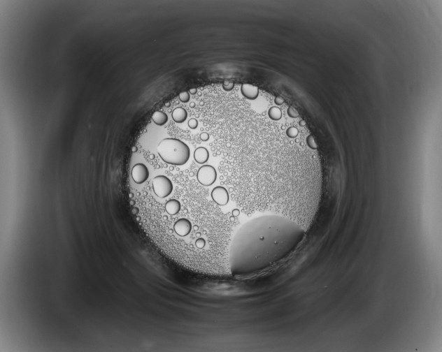 X0000086340557200704202103
