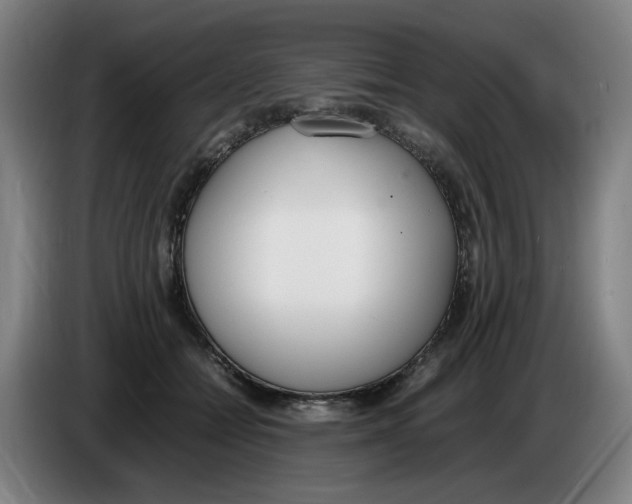 X0000086340558200704202103