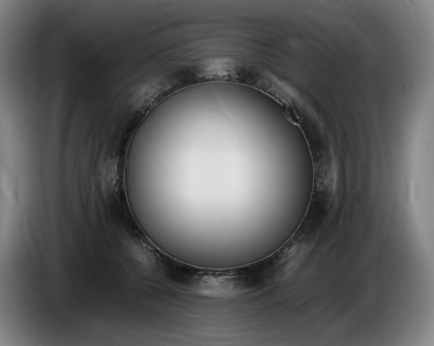 X0000086340560200704202103