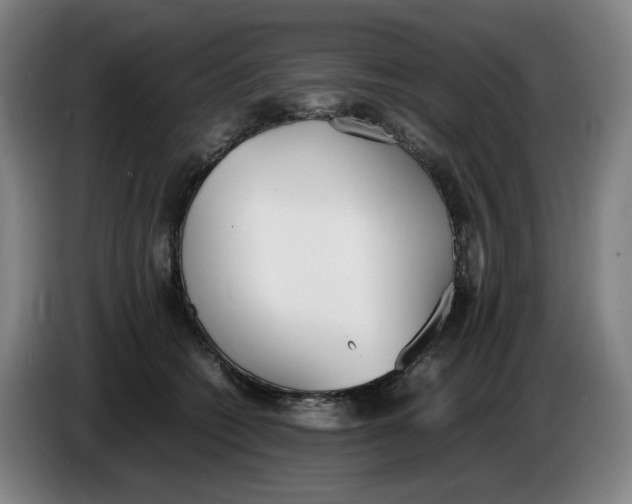 X0000086340562200704202103