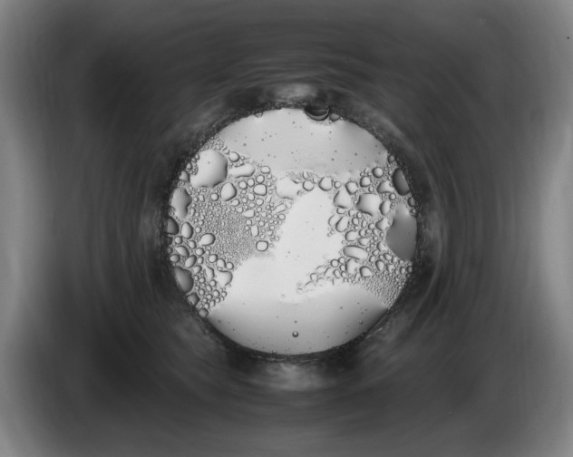 X0000086340565200704202103