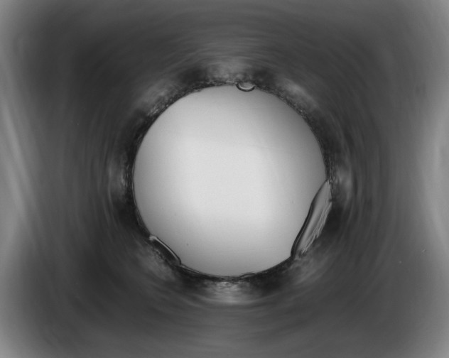 X0000086340566200704202103