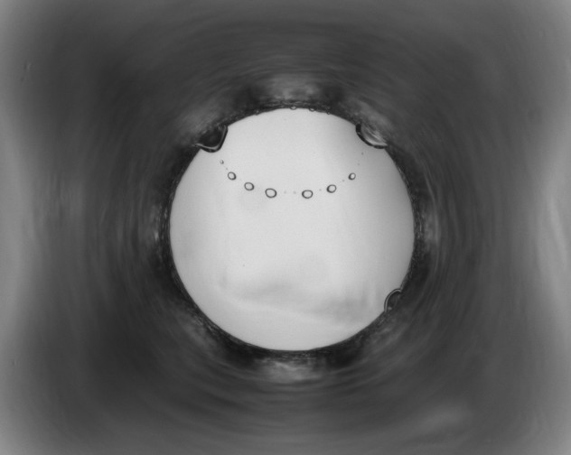 X0000086340567200704202103