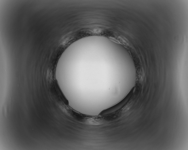 X0000086340568200704202103