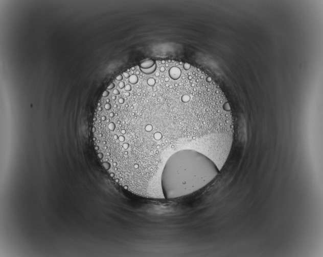 X0000086340569200704202103