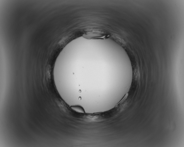 X0000086340570200704202103