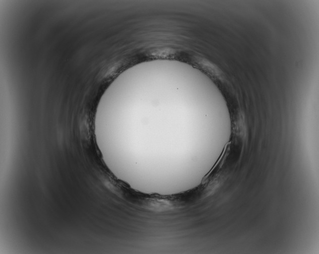X0000086340572200704202103