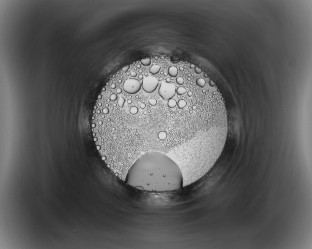 X0000086340573200704202103