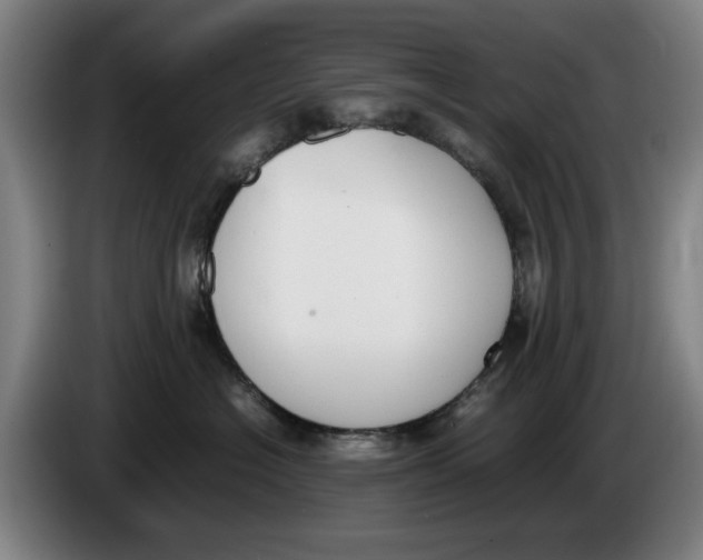 X0000086340574200704202103