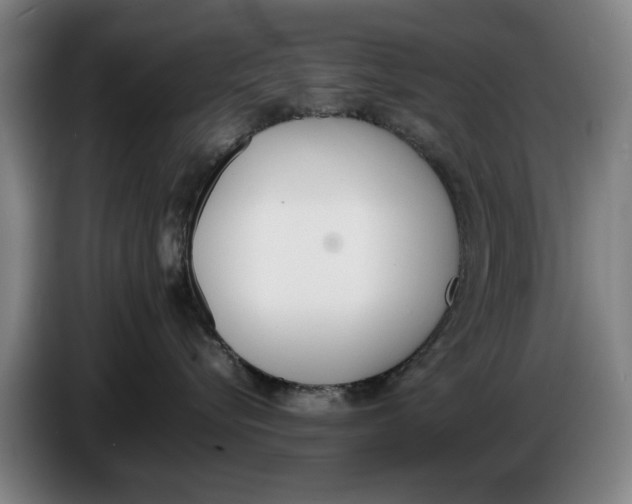 X0000086340576200704202103