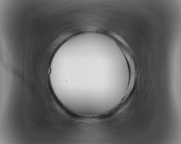 X0000086340577200704202103