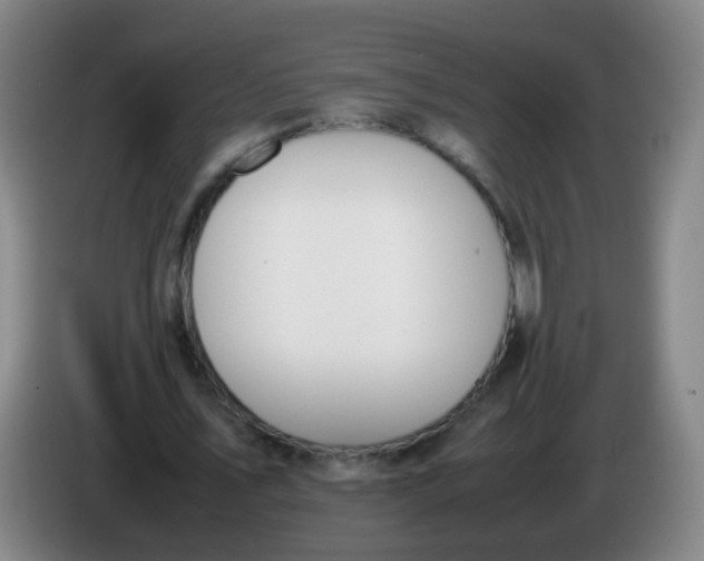 X0000086340579200704202103