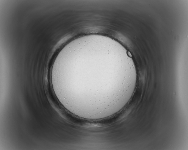 X0000086340582200704202103