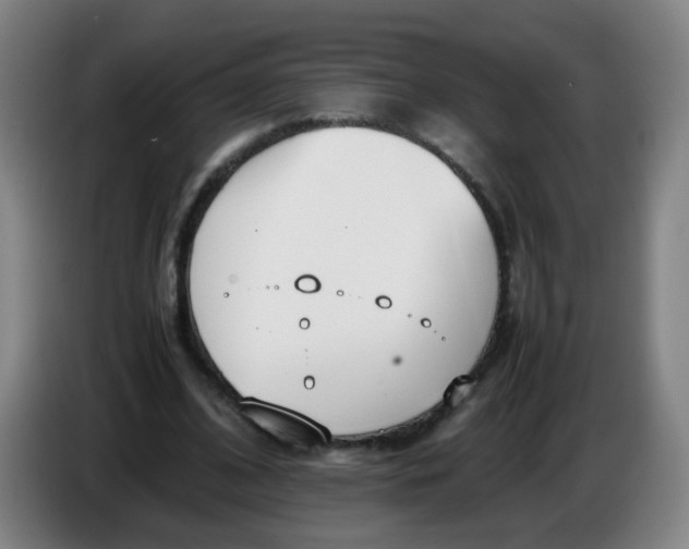 X0000086340584200704202103