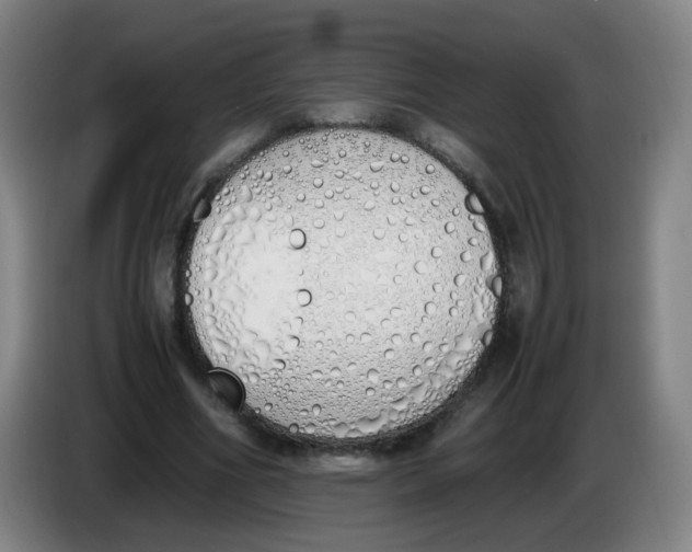 X0000086340586200704202103