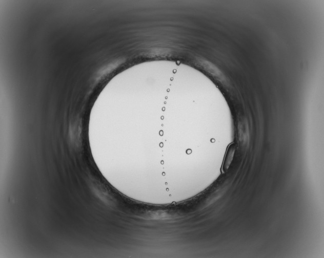X0000086340588200704202103