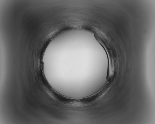 X0000086340589200704202103