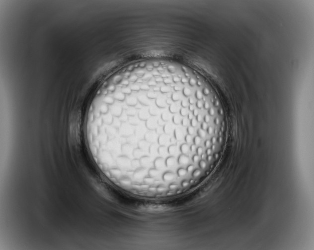 X0000086340590200704202103