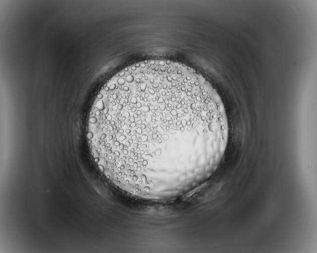 X0000086340591200704202103