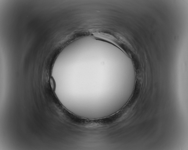 X0000086340593200704202103