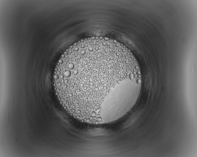 X0000086340594200704202103