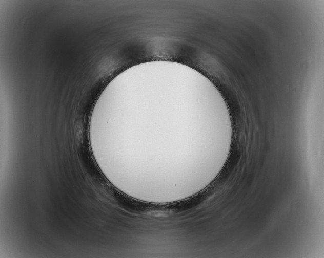 X0000086340595200704202102